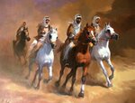 arabian horses-141.jpg