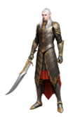 Male Elf Fighter Warrior - Pathfinder PFRPG DND D&D 3_5 5E 5th ed d20 fantasy.png