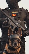 NSG commando _ NSG K9 unit.jpg