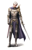Paladin, Siwoo Kim.png