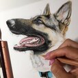 نقاشی-سگ-1.jpg