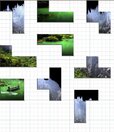 Nature Puzzle - Number.5 - 1roman.jpeg