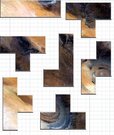 Nature Puzzle - Number.11 - 1roman.jpeg