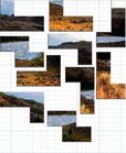 Nature Puzzle - Number.12 - 1roman.jpeg
