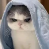 TAAHA