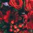 red queen